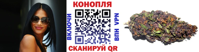 Марихуана план  Тосно 